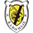 雷都米结